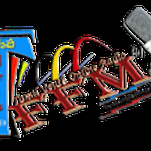 தமிழ் பிளாஷ் எப் எம் Logo
