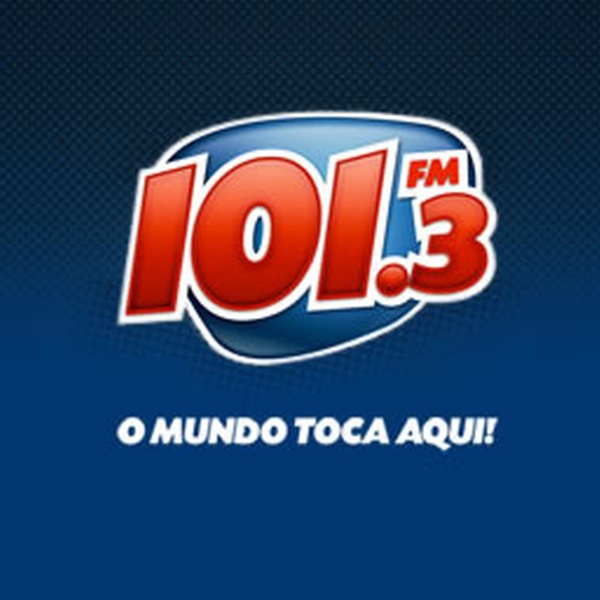 101.3 FM Logo
