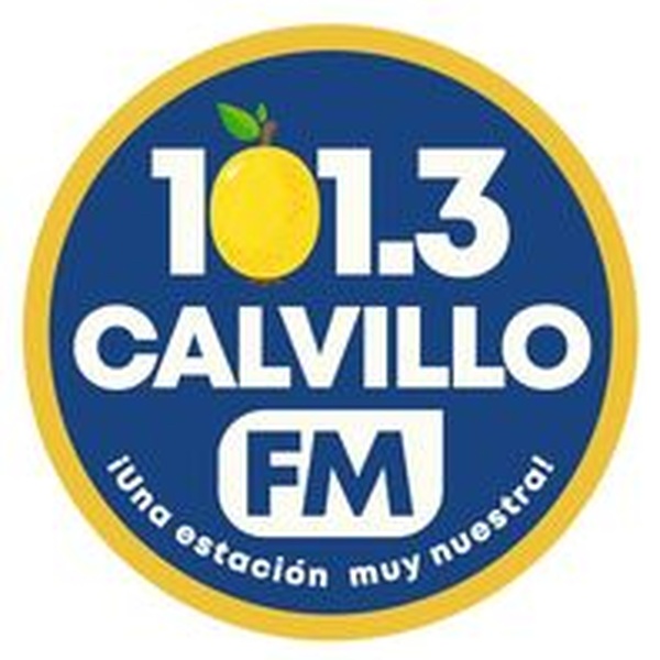 101.3 Calvillo FM Logo