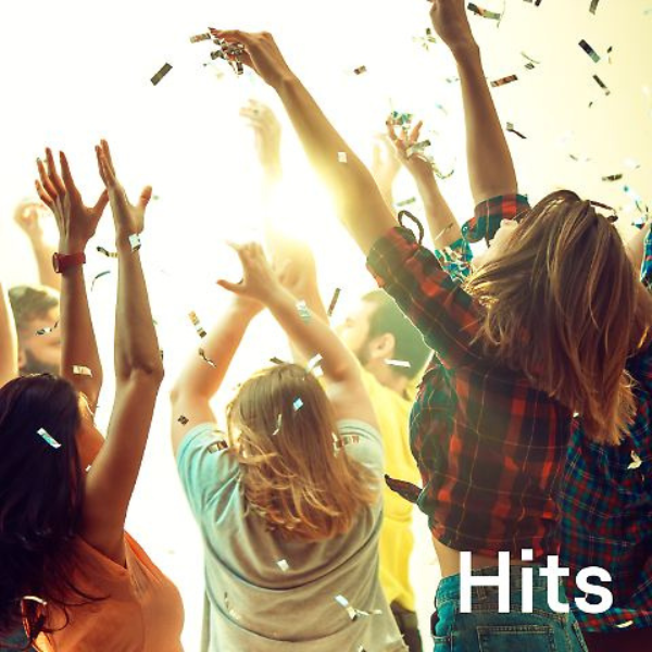 104.6 RTL - Hits Logo