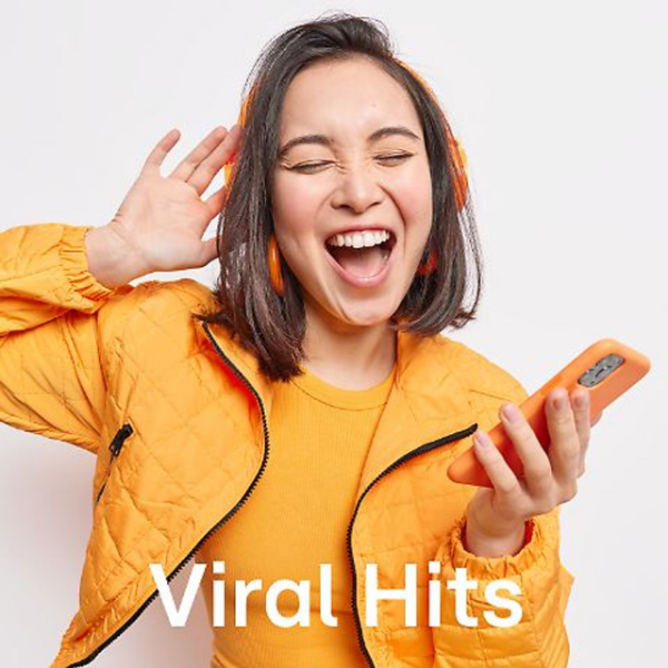 104.6 RTL - Viral Hits Logo