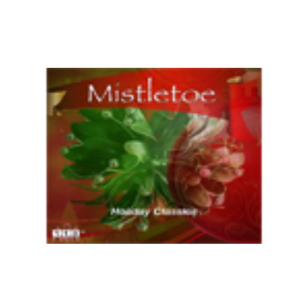 113FM Radio - Mistletoe Logo