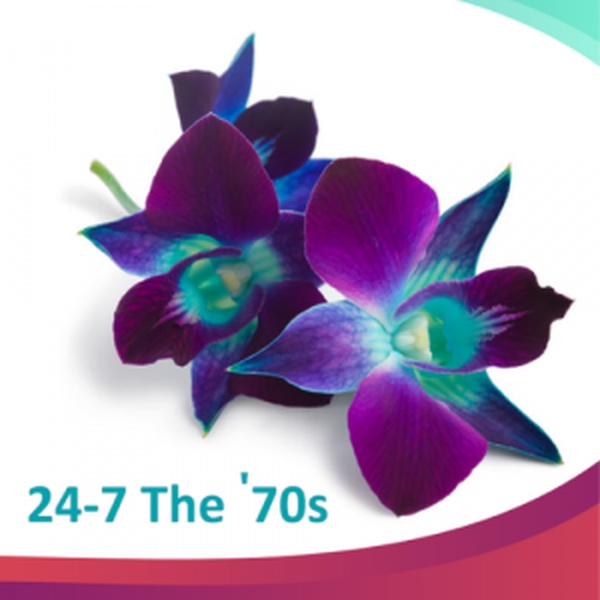 24/7 Niche Radio - 24-7 The '70s Logo