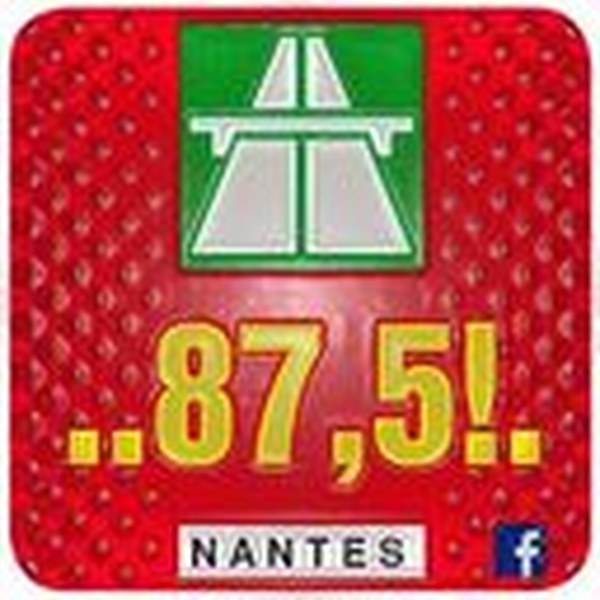 875 Nantes Logo