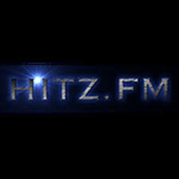 95.1 Hitz FM Logo
