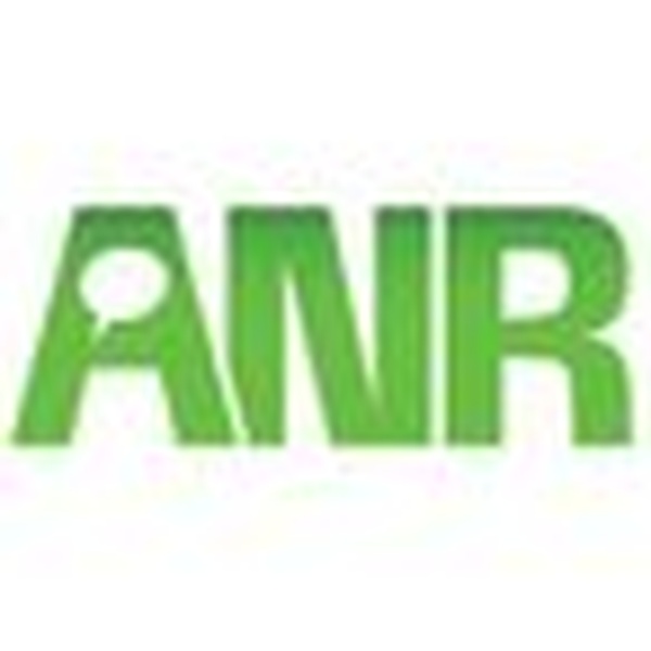 ANR Rock Logo