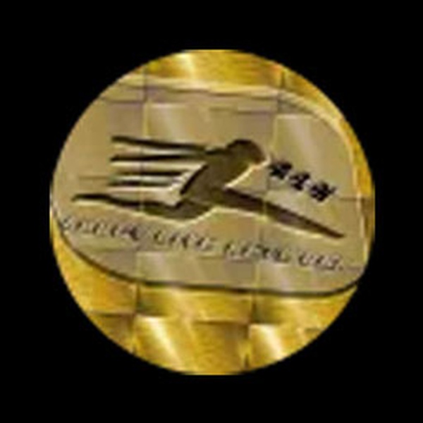 ALN Radio Logo