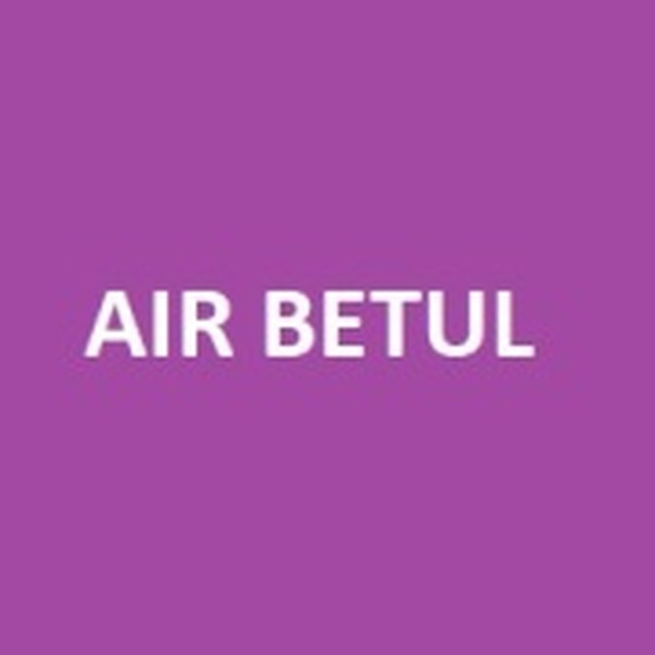 All India Radio - AIR Betul Logo