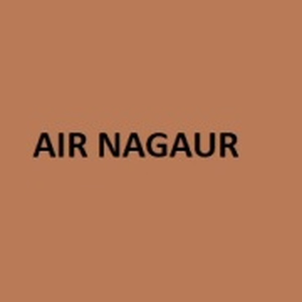 All India Radio - AIR Nagaur Logo