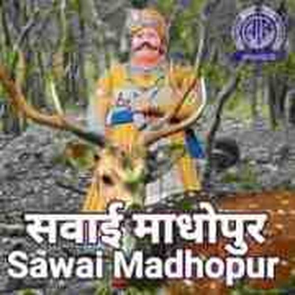 All India Radio - AIR Sawai Madhopur Logo