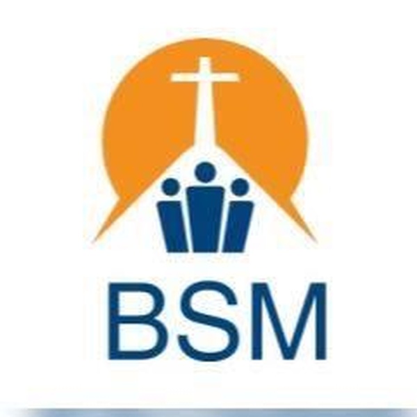 BSM Radio Logo