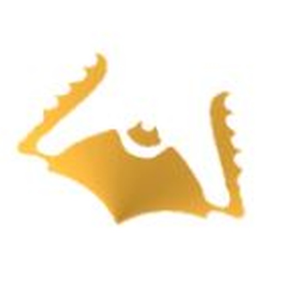 B 4 Gg Logo