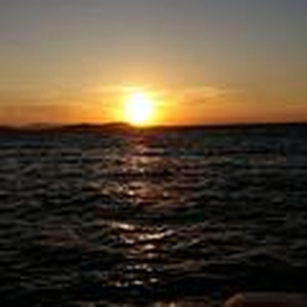 Barracuda Beach Club Logo