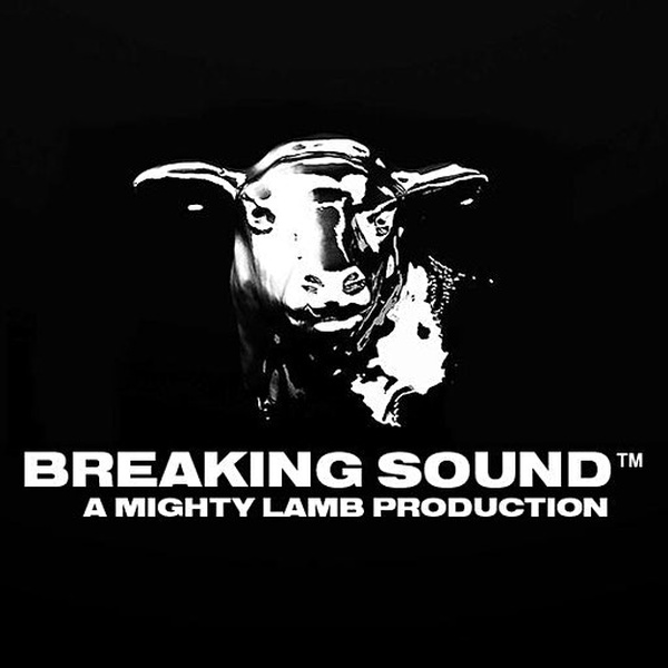 Breaking Sound Radio (BSR) Logo