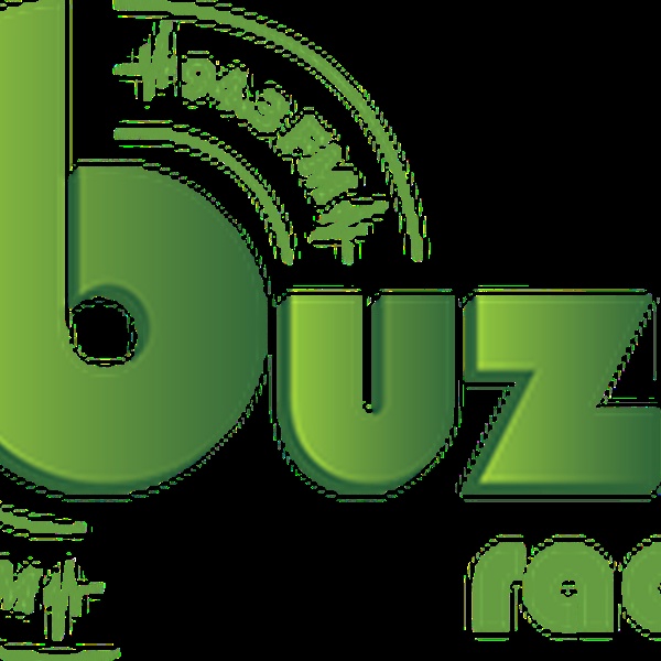Buzz Radio 94.3 & 97.8 FM Logo