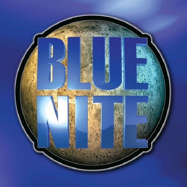 bluenite Logo
