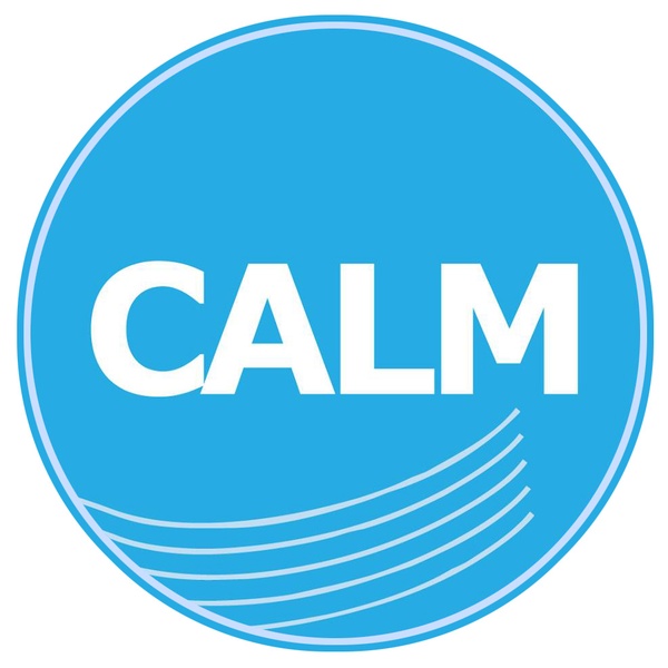 Calm Radio - Solo Guitar Logo