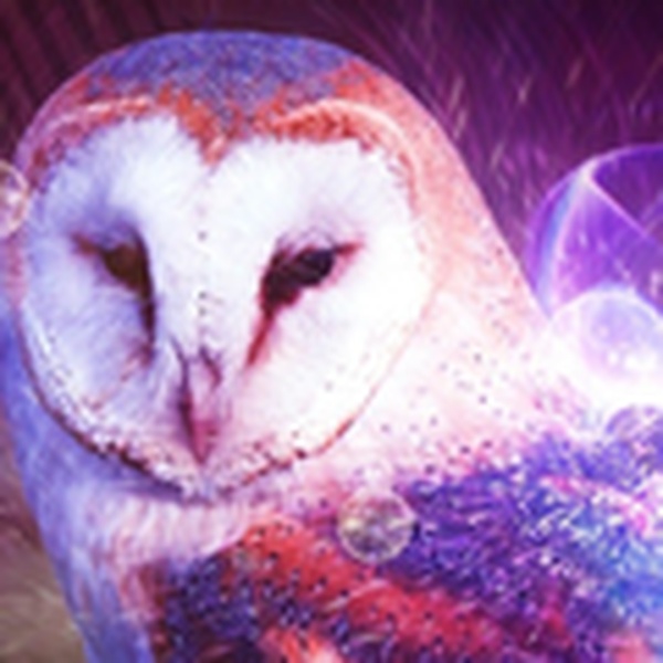 Chaos-Eulen-Radio Logo
