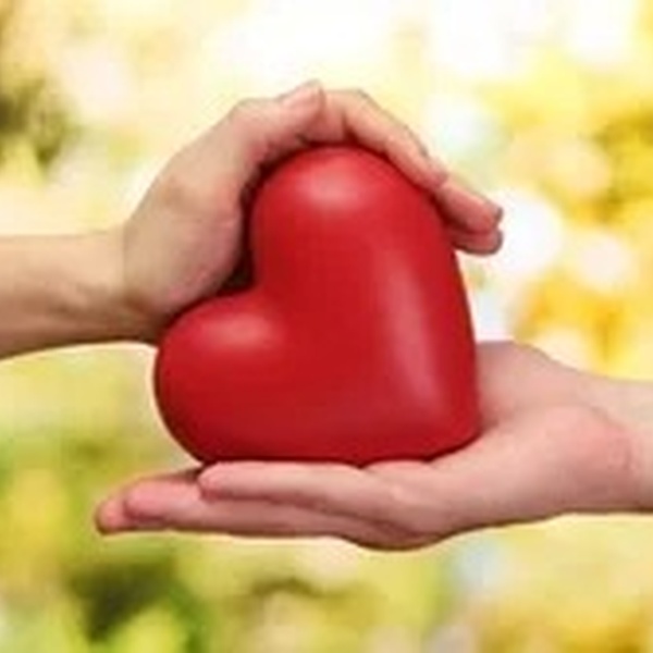 Camino Verdad y Vida Logo