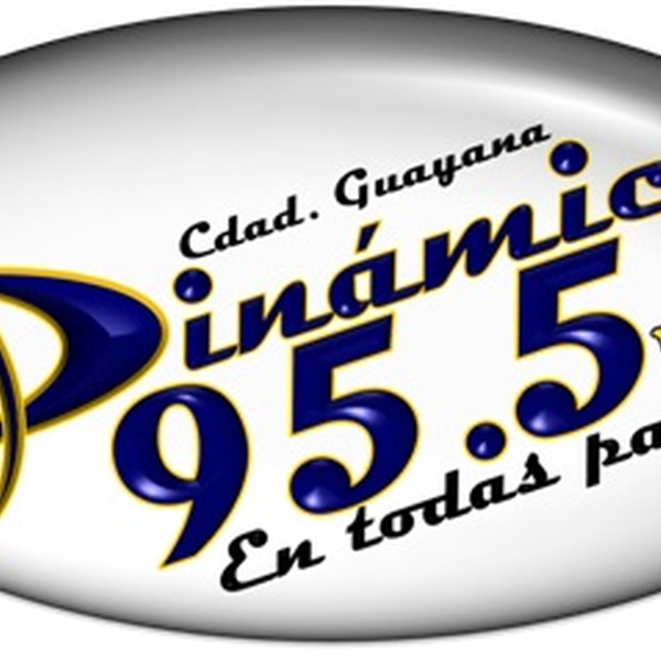 Dinamica 95.5 FM Logo