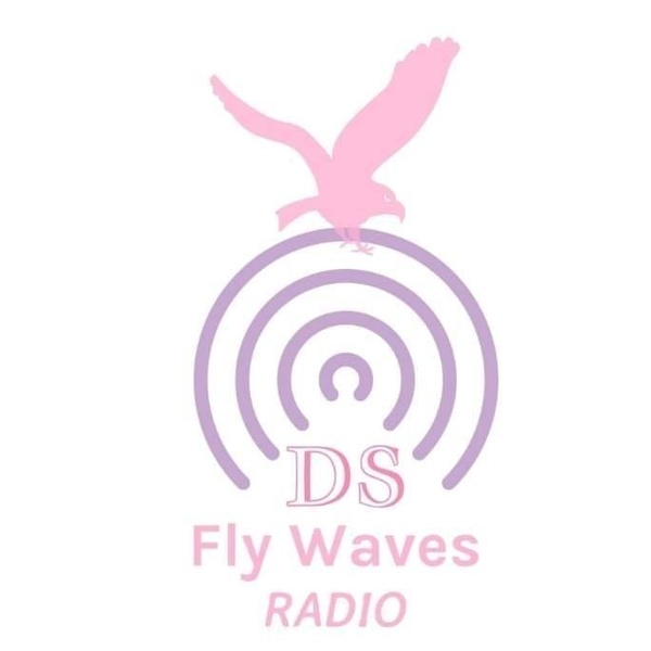DS Fly Waves Radio Logo
