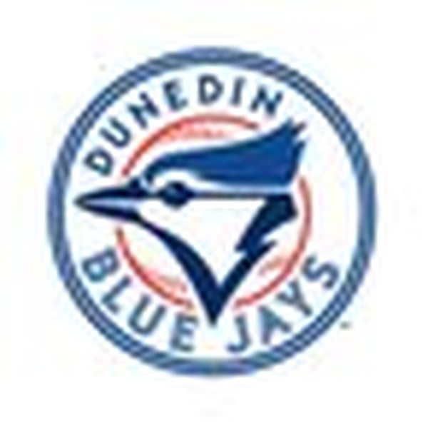 Dunedin Blue Jays Baseball Network Logo