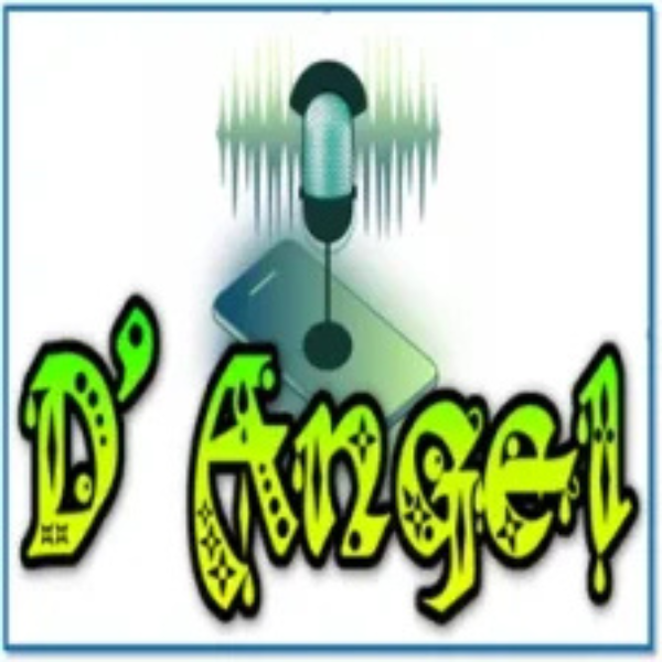 D Angel Sterio Logo