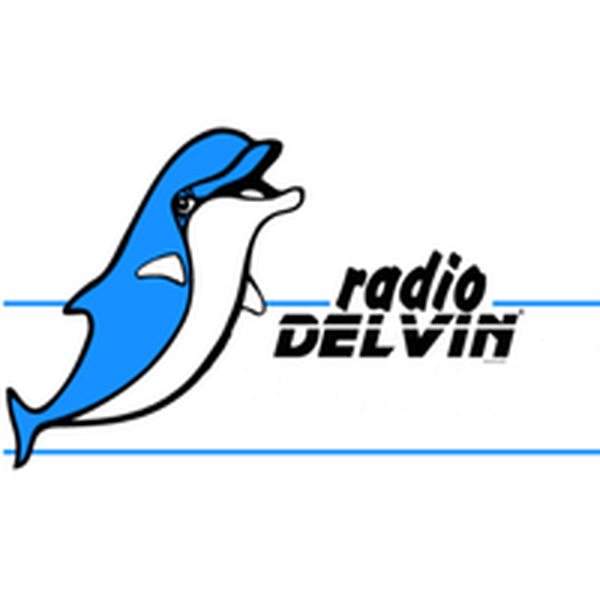 Delvin Radio Logo