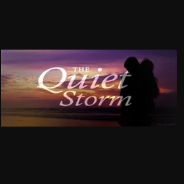 Dicmedia - dicquietstorm Logo