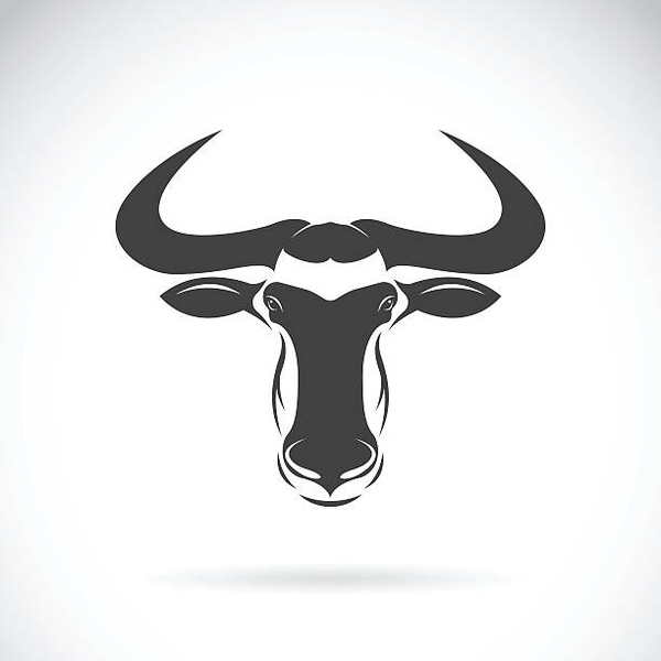 Evolved Radio Logo