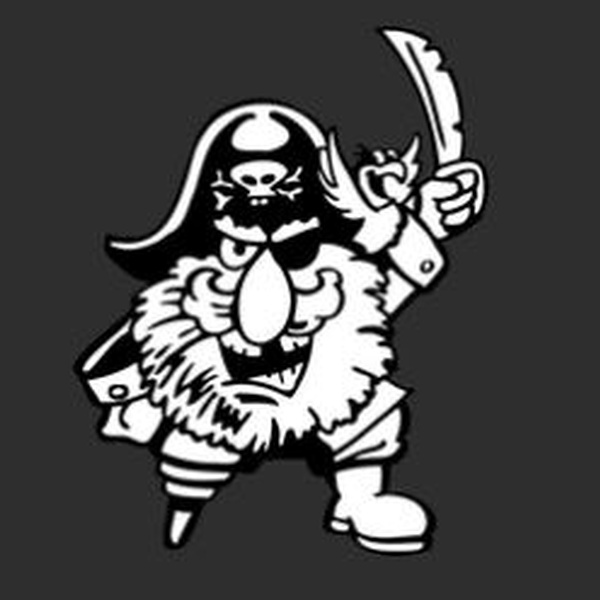 Echte Piratenhits Logo