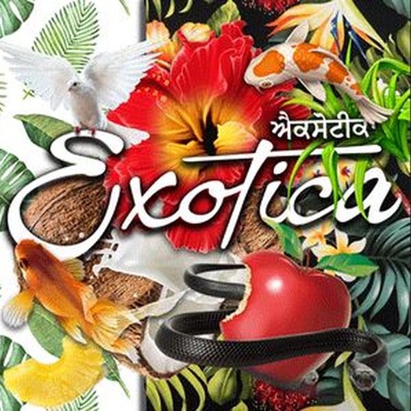 Exotica Radio Logo