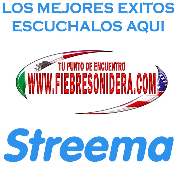 Fiebre Sonidera Radio Logo