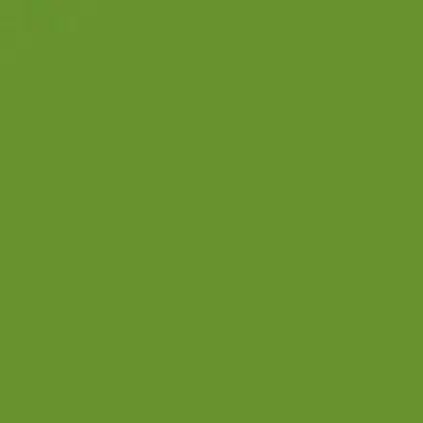 Free Bird FM Logo