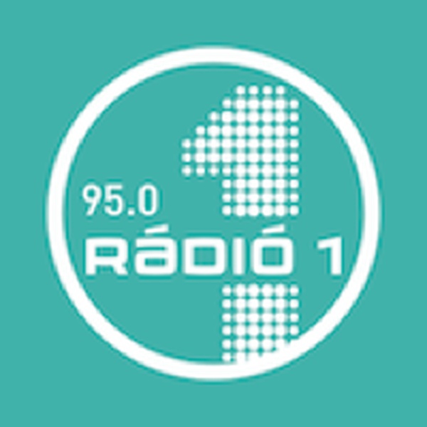 FM95 Rádió 1 Debrecen Logo