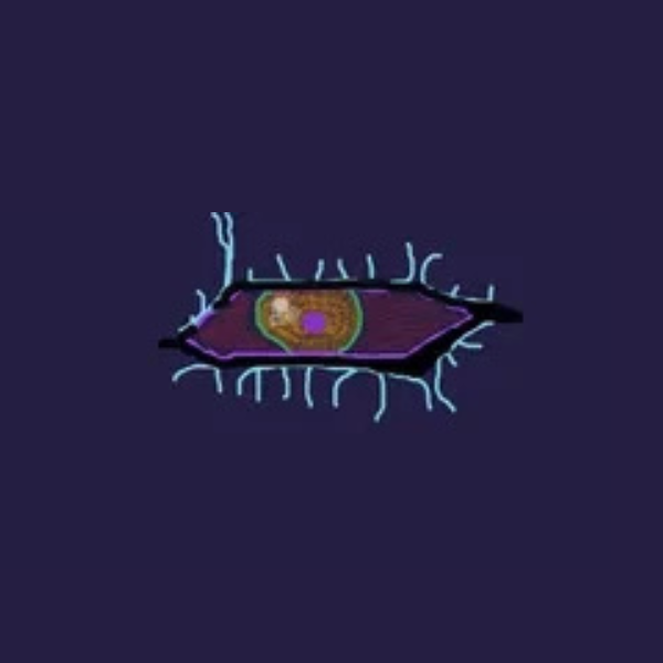 HUUD LUK Radio Logo
