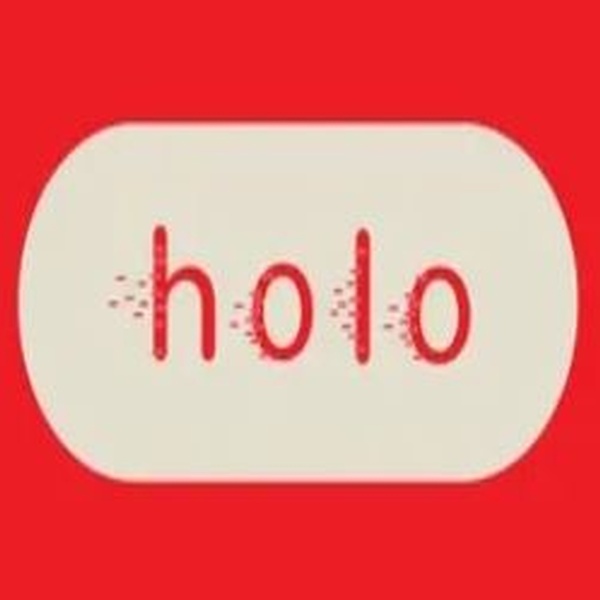 holo vibe Logo