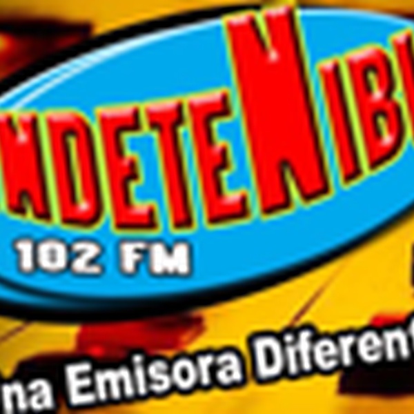Indetenible102 Logo
