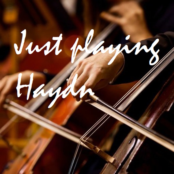 Just Playing Haydn Logo