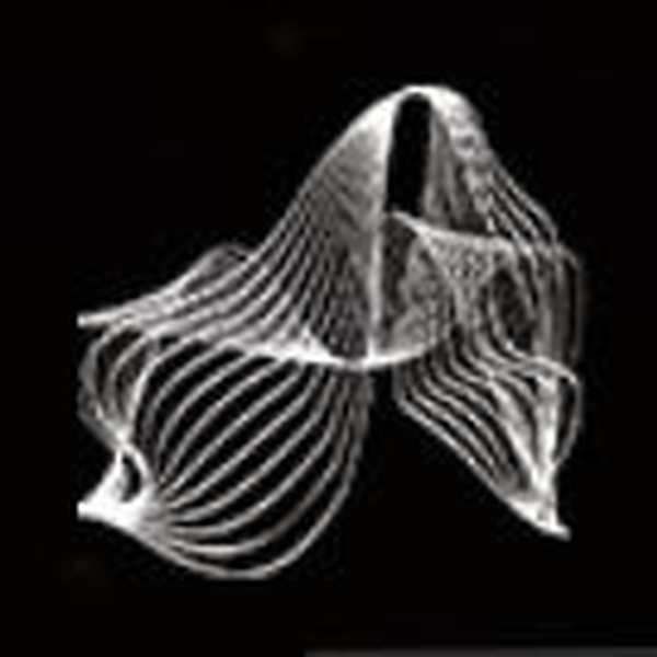 Lounge Radio Ibiza Logo