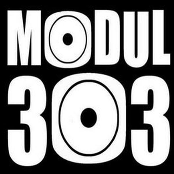 MODUL303 Logo