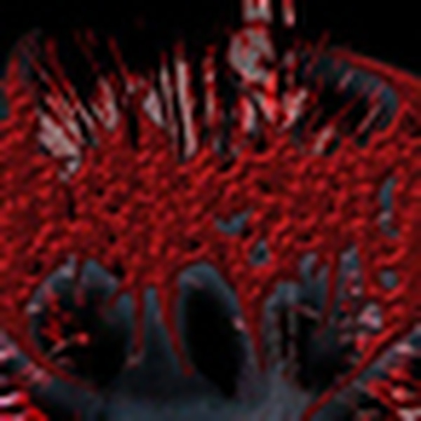 Mulligore Radio Logo
