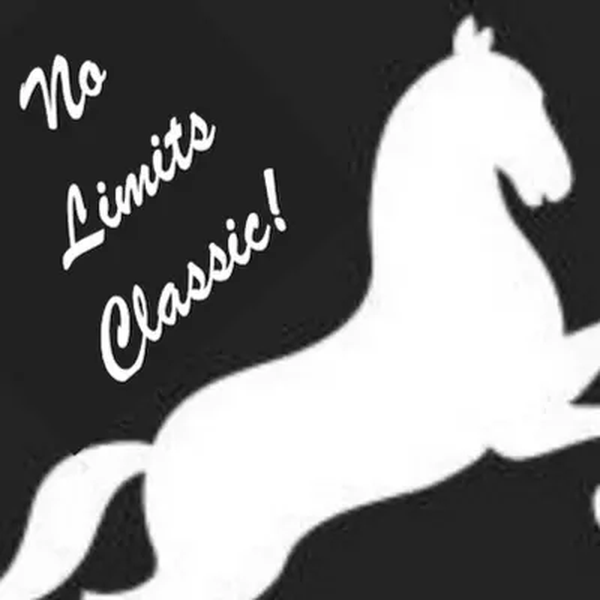 No Limits Classic Logo