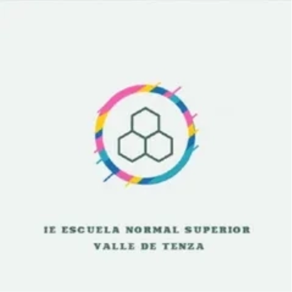 NormalVTStereo Logo