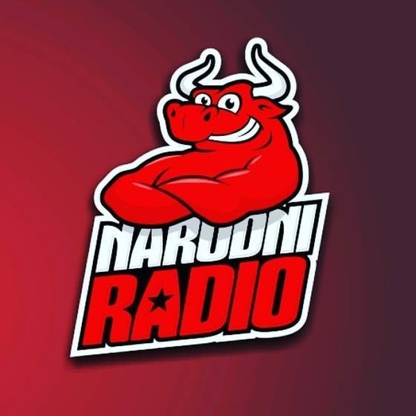 Narodni radio Sarajevo Logo