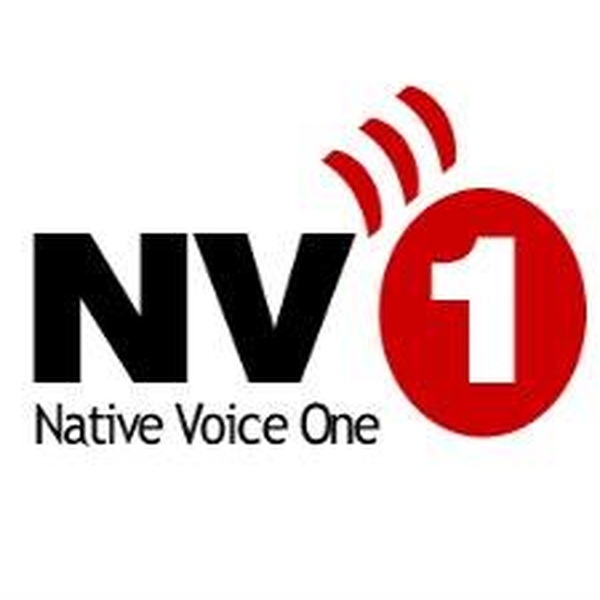 Native Voice One (NV1) - KNNB Logo