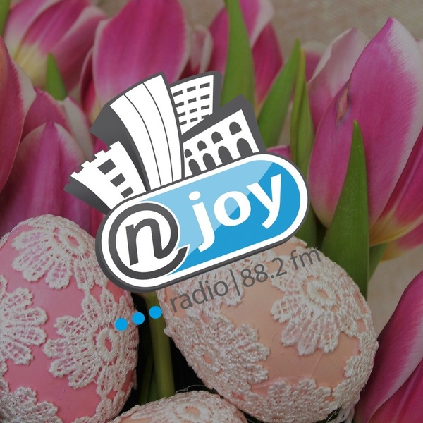 NJOY Radio 88.2 FM Logo