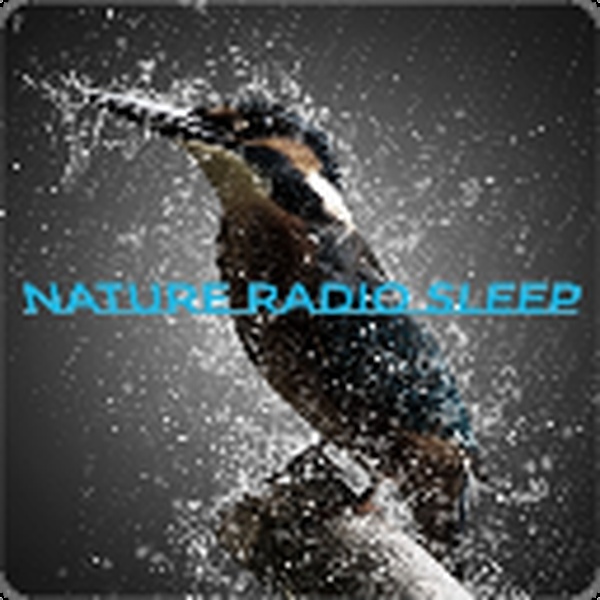 Nature Radio Sleep Logo