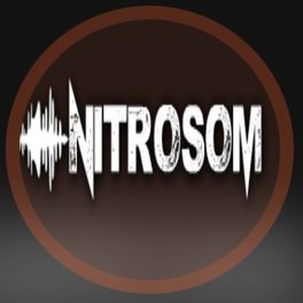 NitroSom Logo