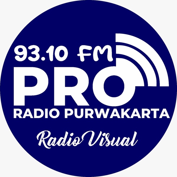 PRO 93.10 FM Logo